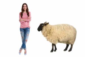 A woman with a sheep